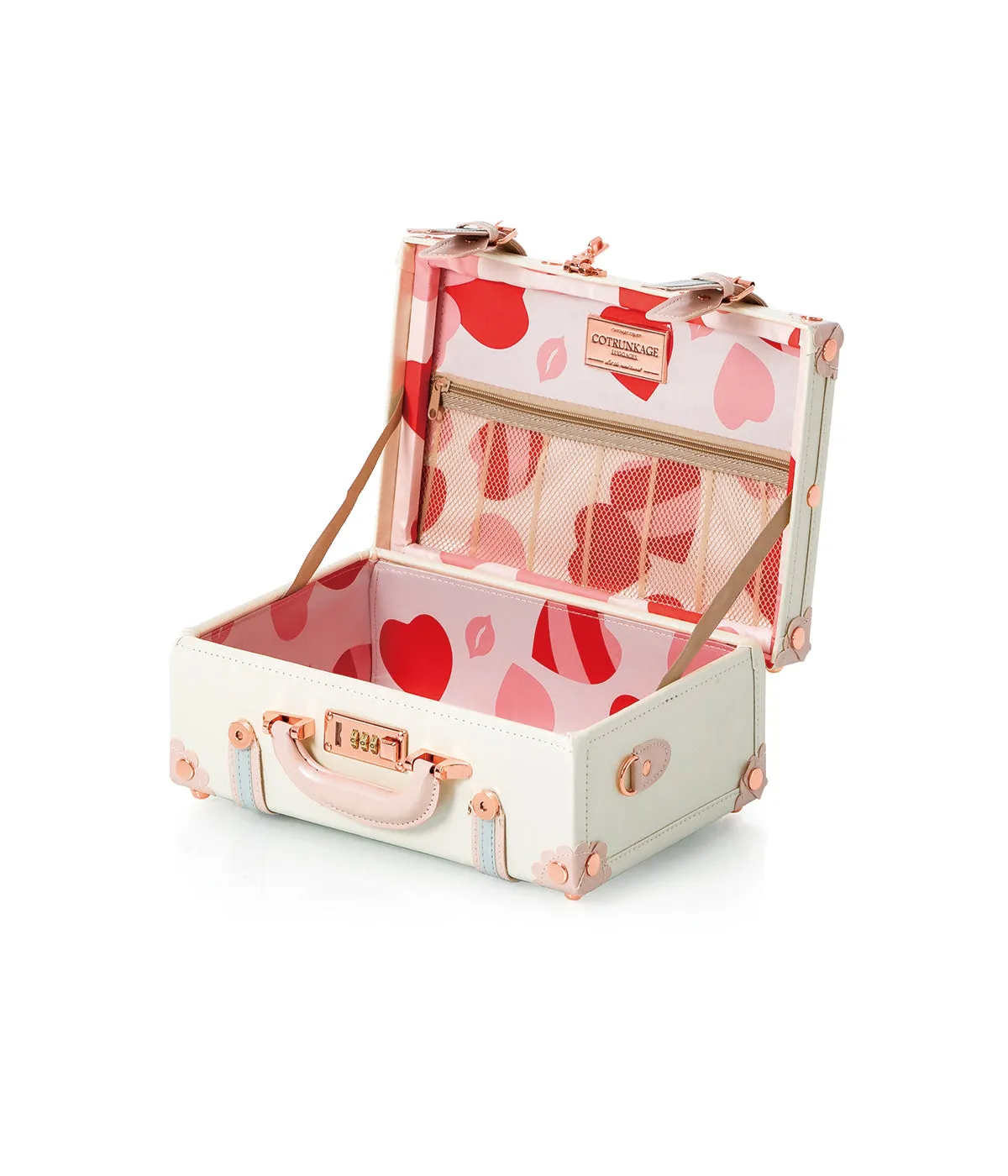 Minimalism XL Check-in Set - Train Case