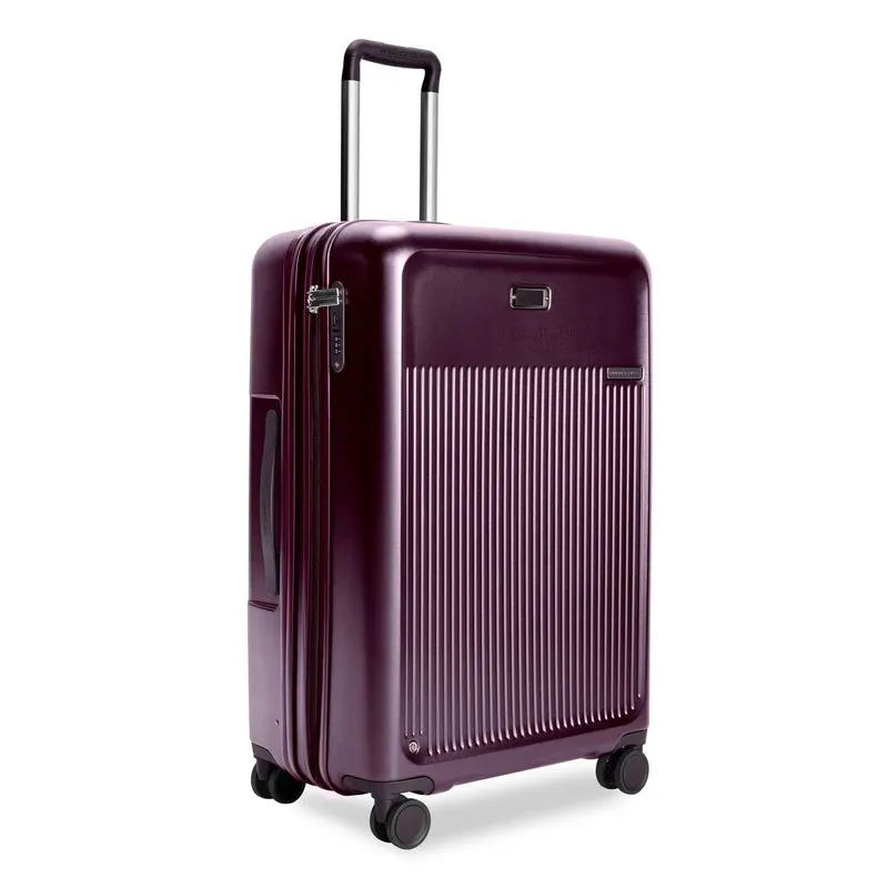 Sympatico Large Expandable Spinner - Plum